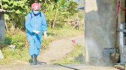 Tuân thủ '5 không’ hạn chế dịch tả lợn Châu Phi lây lan