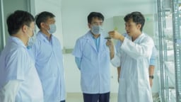 R&D - Chiến lược phát triển lõi, bệ phóng tăng trưởng dài hạn của PVCFC
