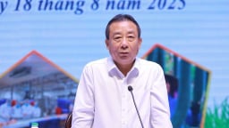 Khống chế dịch tả lợn Châu Phi là nhiệm vụ cấp bách của Nghệ An