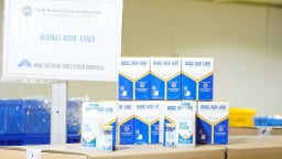 340.000 liều vaccine dịch tả lợn Châu Phi của AVAC tiếp tục sang Philippines