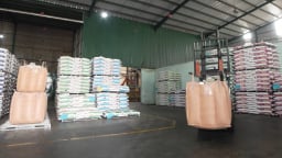 Viet Nhat Group xuất khẩu 1076 tấn thức ăn chăn nuôi sang Mỹ
