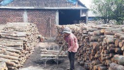 Hậu Giang kiểm soát chặt sản xuất than củi bảo vệ môi trường