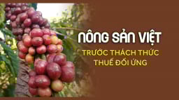 Tính toán 'thị trường đường xa' cho cà phê Việt