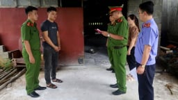 Khởi tố 2 đối tượng mua bán, tiêu thụ lợn nhiễm bệnh dịch tả Châu Phi