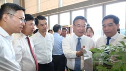 Quyết định 463 mở rộng đường cho ngành công nghiệp dược liệu