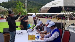200 cây sâm tranh tài tại Hội thi sâm Ngọc Linh lần thứ VII