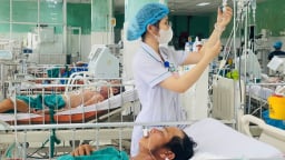 Ăn cá chua, 2 cha con nghi ngộ độc botulinum