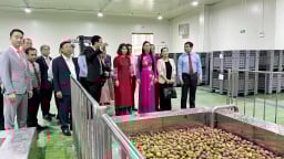 Khánh thành Nhà máy chế biến nông sản và dược liệu Sao Mai