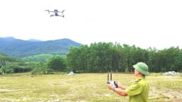 Tuần tra, giám sát rừng bằng drone