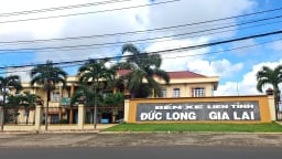Tăng cường xe khách phục vụ cán bộ, công chức về làm việc tại Bình Định