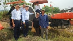 Tưới ngập khô xen kẽ trong canh tác lúa: giảm phát thải, tăng cơ hội carbon