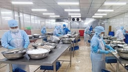 Thách thức xuất khẩu thủy sản: [Bài 1] Sóng lớn