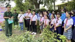 Năm học 2025-2026 sẽ hỗ trợ ăn trưa cho học sinh ở biên giới đất liền