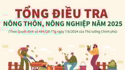 Tổng điều tra nông nghiệp, nông thôn năm 2025