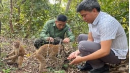 Bảo tồn và giữ gìn màu xanh cánh rừng Mường Nhé