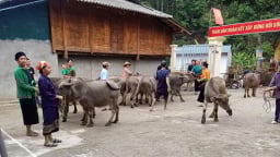 Xã biên giới làm tốt phong trào Vì người nghèo