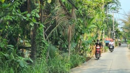 Điều chỉnh quy hoạch dự án 'treo' Khu đô thị mới Bình Quới - Thanh Đa