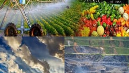 Khẩn trương xây dựng và hoàn thiện Luật sửa đổi, bổ sung các luật của ngành