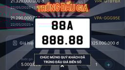 Đại gia trúng đấu giá biển số 88A 888.88 hơn 21,3 tỷ đồng