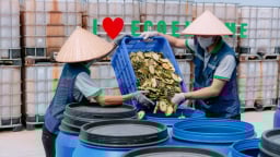 Biến vỏ dứa thành sản phẩm nước tẩy rửa hữu cơ đạt OCOP