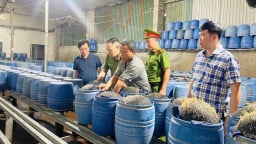 Phát hiện hai cơ sở dùng hóa chất độc hại sản xuất giá đỗ