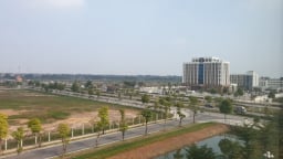 Xử lý dự án đầu tư sử dụng đất vi phạm về giao đất, thuê đất