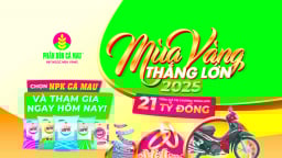NPK Cà Mau 20-10-10: Chọn đúng, trúng mùa vàng
