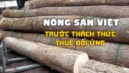 Ngành gỗ tìm giải pháp duy trì thị trường Hoa Kỳ