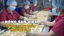 Hạt điều còn nhiều dư địa ngoài thị trường Hoa Kỳ