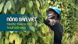 Hồ tiêu vẫn làm chủ cuộc chơi