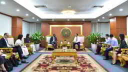 Việt Nam là động lực chuyển dịch năng lượng xanh trong ASEAN