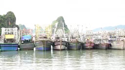 Quảng Ninh: Tạm ngừng hoạt động đường thủy do ảnh hưởng bão số 1