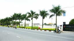 TP HCM xử lý nghiêm, triệt để tổ chức, cá nhân vi phạm môi trường