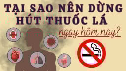 Infographic: Tại sao nên dừng hút thuốc lá ngay hôm nay?