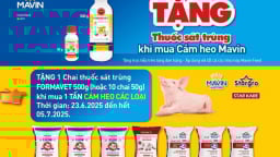 Mavin feed đồng hành cùng nhà chăn nuôi - chung tay phòng chống ASF