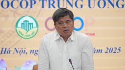 Ít mà tinh, sản phẩm OCOP giữ trọn hương vị bản địa