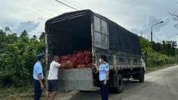 Quảng Ninh tiêu hủy gần 17 tấn ngao, hàu nhập lậu