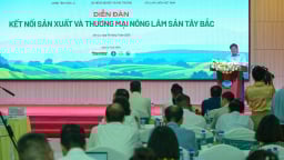 'Ai làm chủ được vùng nguyên liệu sẽ làm chủ được chuỗi giá trị nông sản'