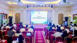Triển khai hiệu quả công tác quản lý chất thải rắn và trách nhiệm EPR