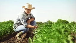 Anh ra mắt mô hình nông nghiệp tuần hoàn giúp giải quyết nông sản dư thừa