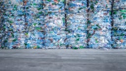 Chuyên gia y tế kêu gọi Liên hợp quốc cấm hóa chất độc hại trong nhựa
