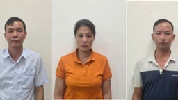 Khởi tố Giám đốc Công ty lâm nghiệp Hoành Bồ