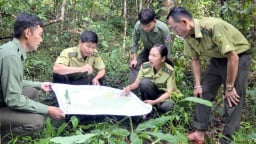 Hiệu quả giao khoán rừng ở Khu Dự trữ thiên nhiên Mường Nhé