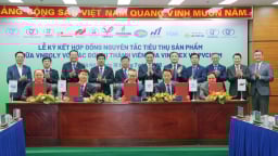 Tạo sự bền vững trong chuỗi cung ứng ‘hóa chất - xơ sợi - dệt may’