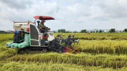 Quảng Ninh hỗ trợ đất lúa từ sản xuất đến hạ tầng