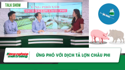 Ứng phó với dịch tả lợn Châu Phi