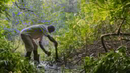 UNDP hỗ trợ doanh nghiệp châu Phi tăng sức chống chịu khí hậu