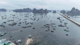 Quảng Ninh nghiên cứu lắp đặt thiết bị cảnh báo dông, lốc trên vịnh
