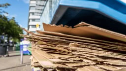 Bìa carton dẫn dắt xu hướng kinh tế tuần hoàn