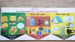 Phân loại rác tại nguồn: Từ bị động đến ý thức toàn dân
